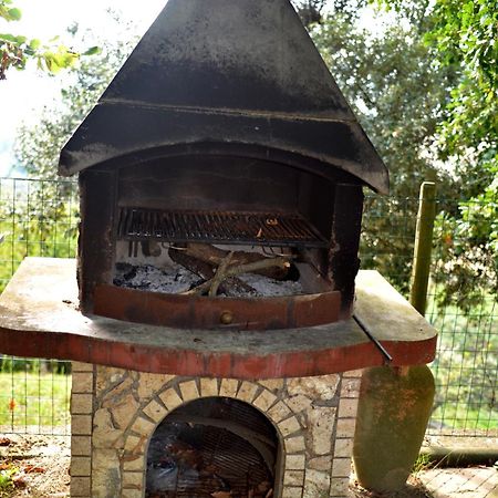 Agriturismo Podere Biancospino Piscina Privata Chianciano Terme Bagian luar foto
