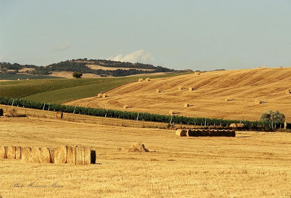 Agriturismo Podere Biancospino Piscina Privata Chianciano Terme Bagian luar foto